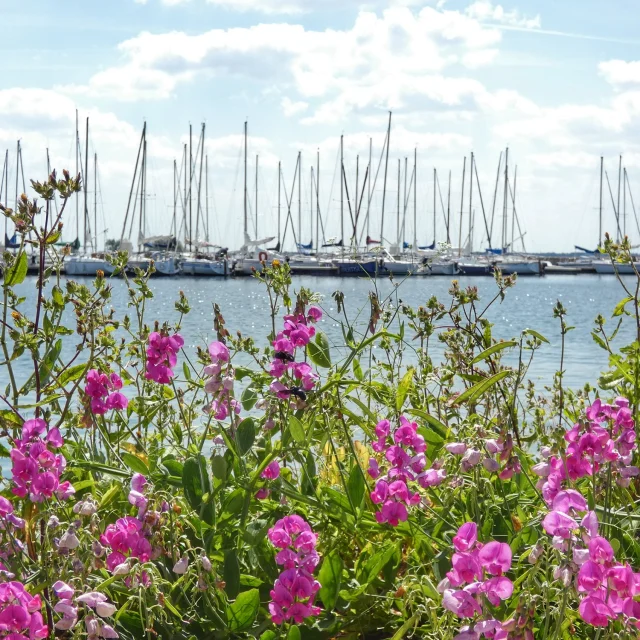 Port De Nuisement