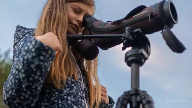 Observation à la lunette ornithologique au Lac du Der