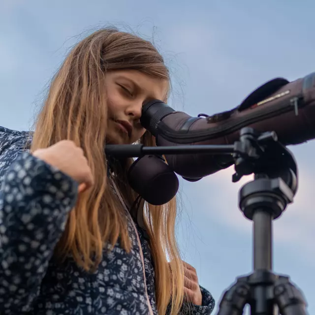 Observation à la lunette ornithologique au Lac du Der