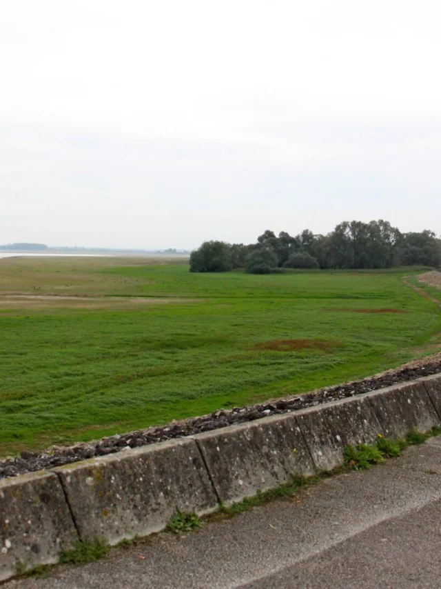 Route sur digue au Lac du Der