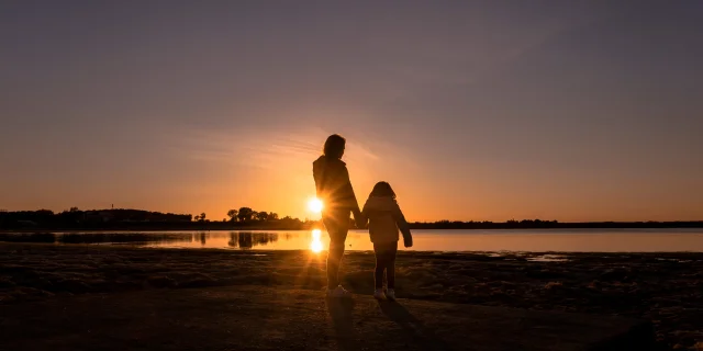 Sunset on a Lac du Der beach