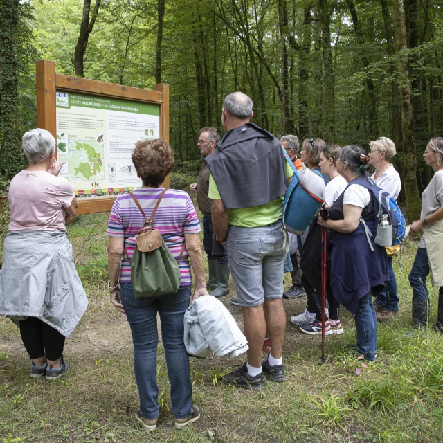 Wanderung zu den Abgründen von Trois-Fontaines