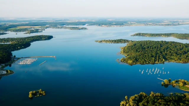 Aérea; Lac du Der, 2013