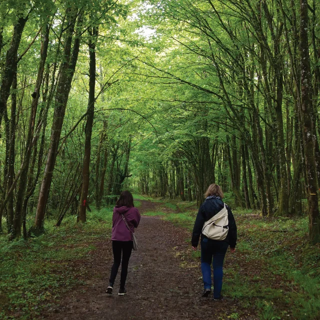 Hiking between Dame and Chevalier at Lac du Der