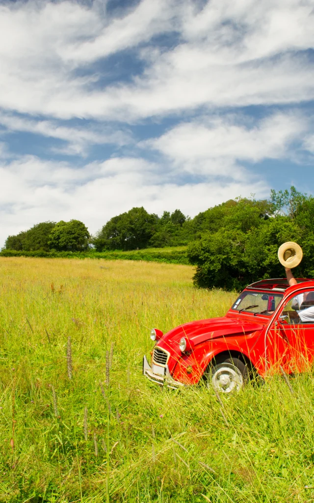 2CV-voiture-Ivonne-Wierink-Canva.jpg