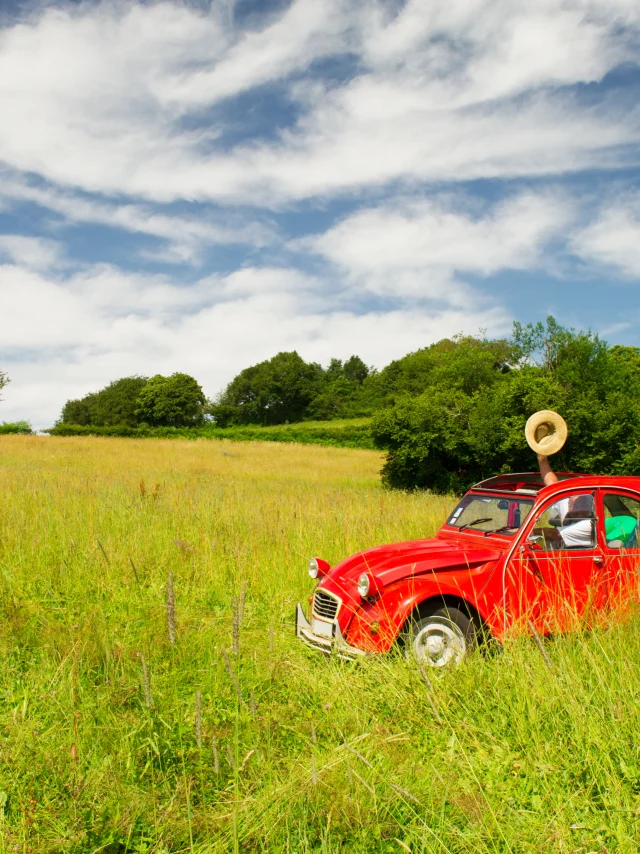 2CV-voiture-Ivonne-Wierink-Canva.jpg