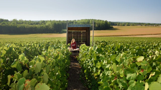 Loge Vignes 3 Vmontane Coll Ot Lac Du Der