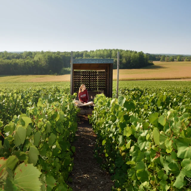 Loge Vignes 3 Vmontane Coll Ot Lac Du Der