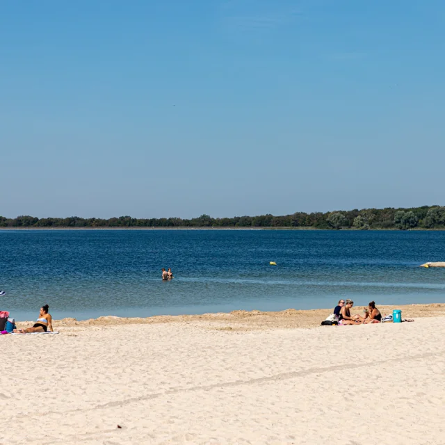 Plage-du-Lac-du-Der.jpg