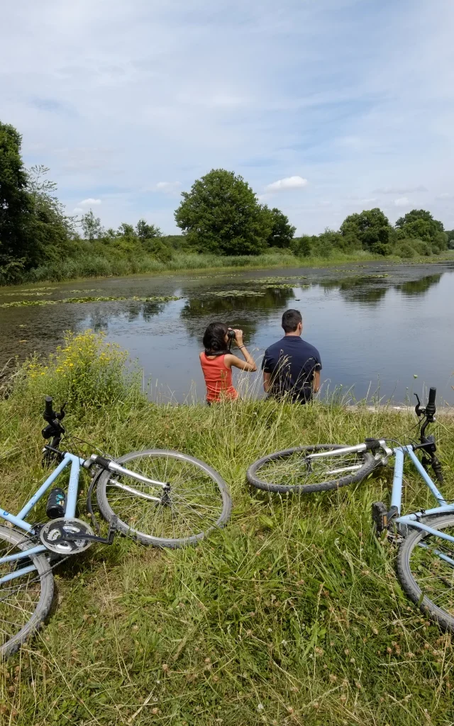 Rando-velo-etnag-Outines-Lac-du-Der.jpg