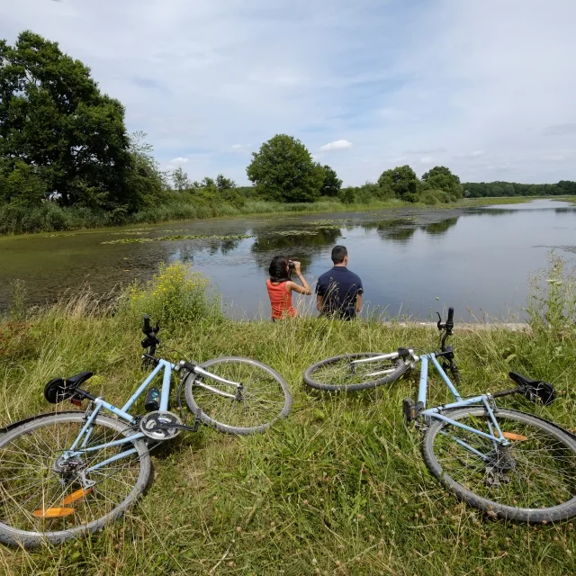 Rando-velo-etnag-Outines-Lac-du-Der.jpg