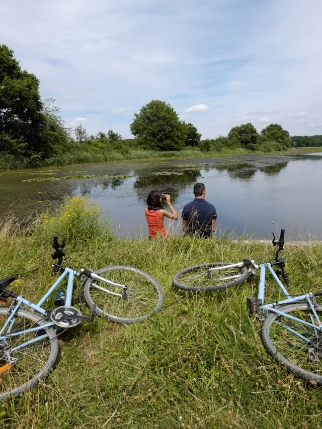 Rando-velo-etnag-Outines-Lac-du-Der.jpg