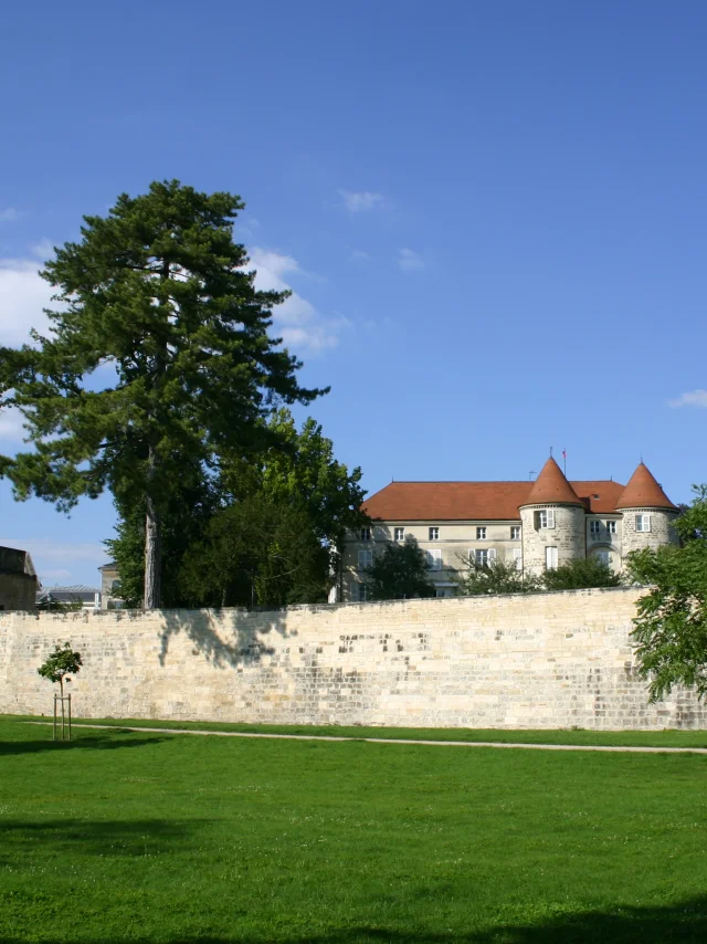 chateau-et-remparts-saint-dizier.jpg