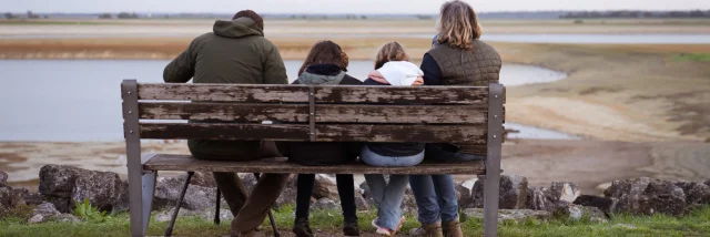 A bench for birdwatching