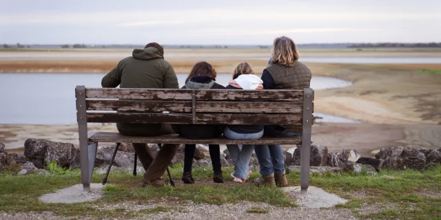 Un banc pour observer les oiseaux