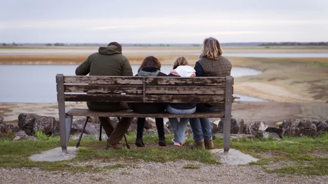 Un banc pour observer les oiseaux