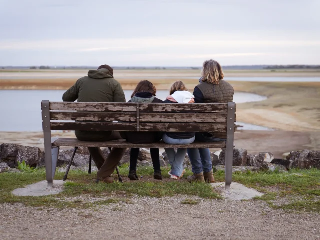 A bench for birdwatching