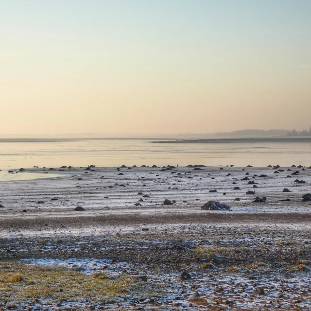 lac-du-der-en-hiver.jpg