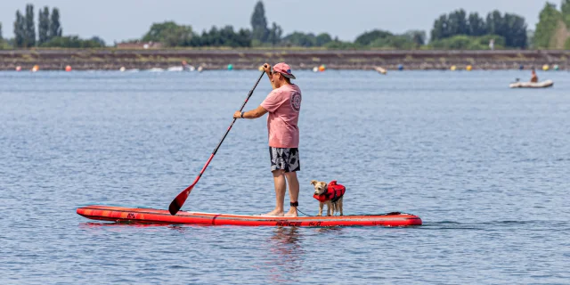 Paddle on the lake with your dog