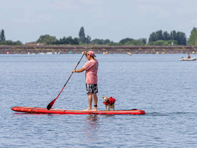 Paddle on the lake with your dog