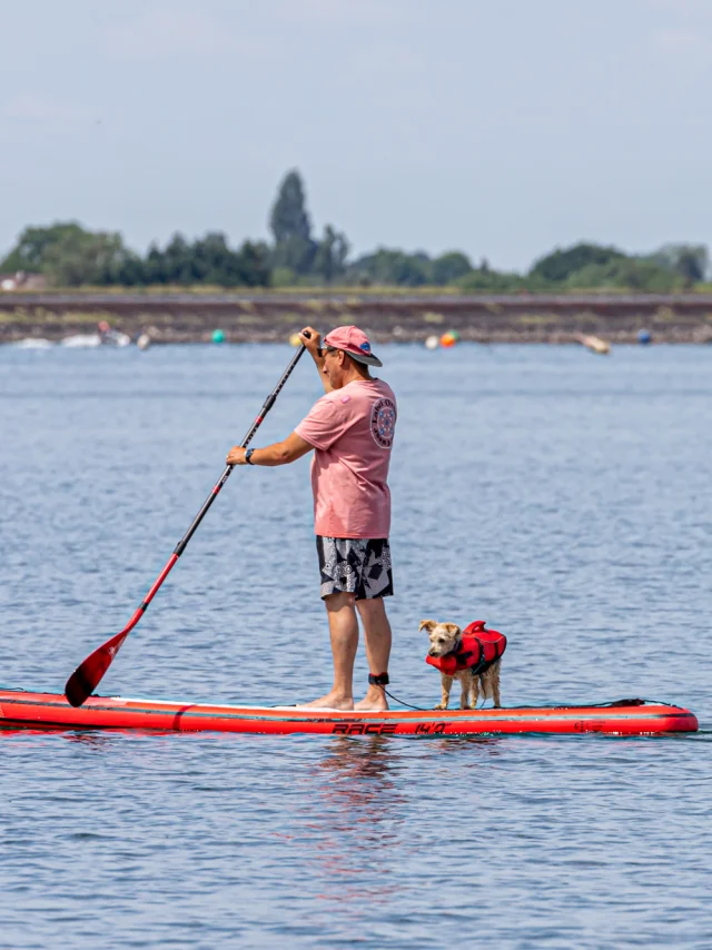 Reme en el lago con su perro