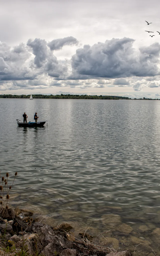 peche-barque-lac-du-der.jpg