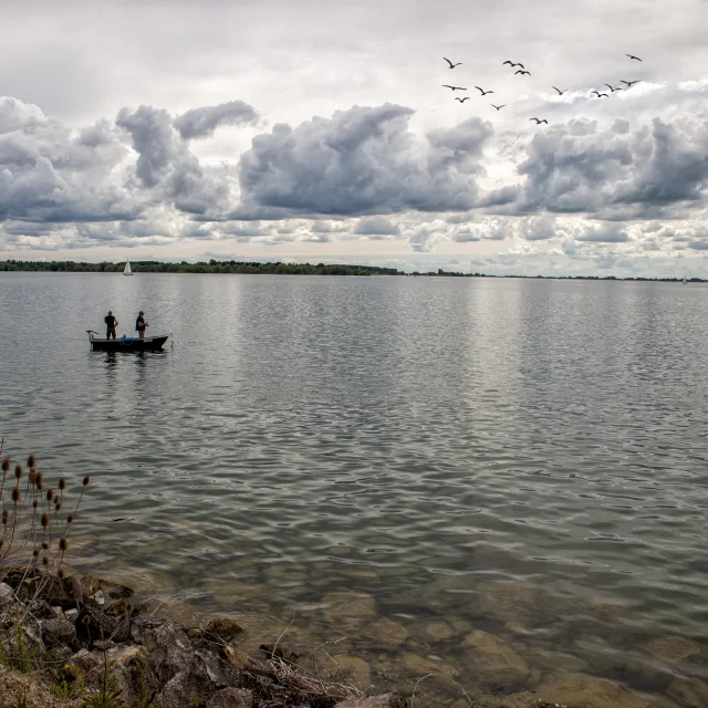 peche-barque-lac-du-der.jpg