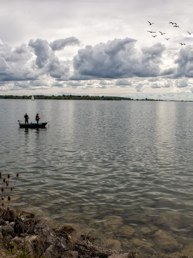 peche-barque-lac-du-der.jpg