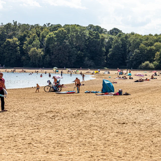 plage-au-lac-du-der.jpg