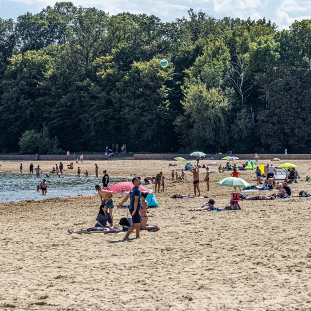 plage-lac-du-der.jpg