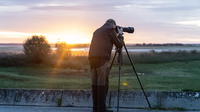 Giffaumont dam ornithology