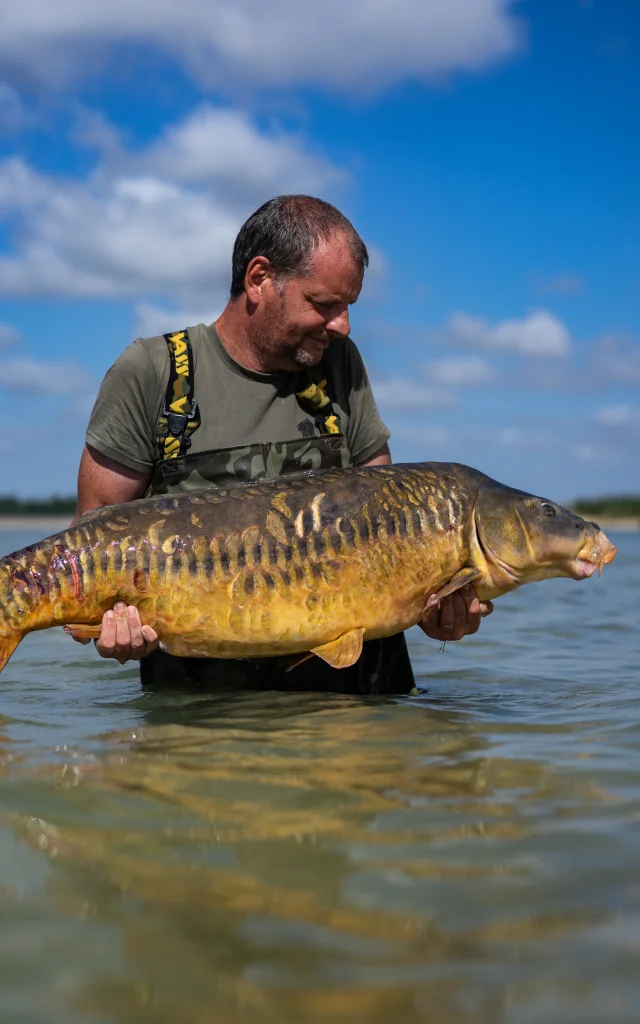 Carpe - Lac du Der