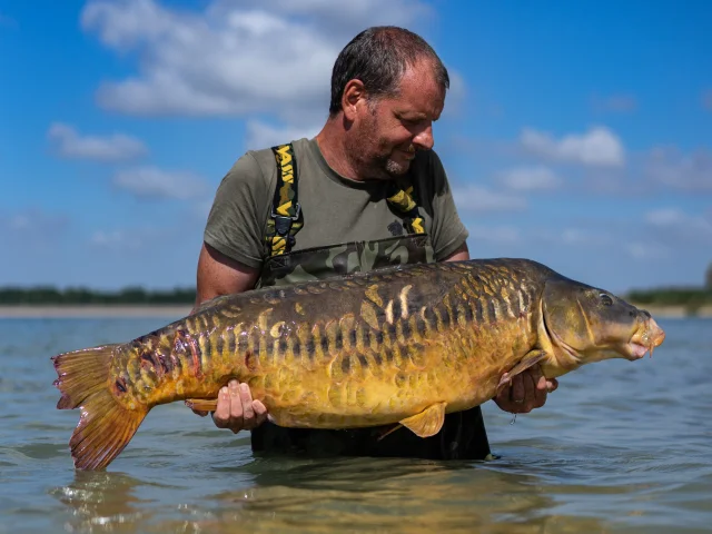 Carpe - Lac du Der