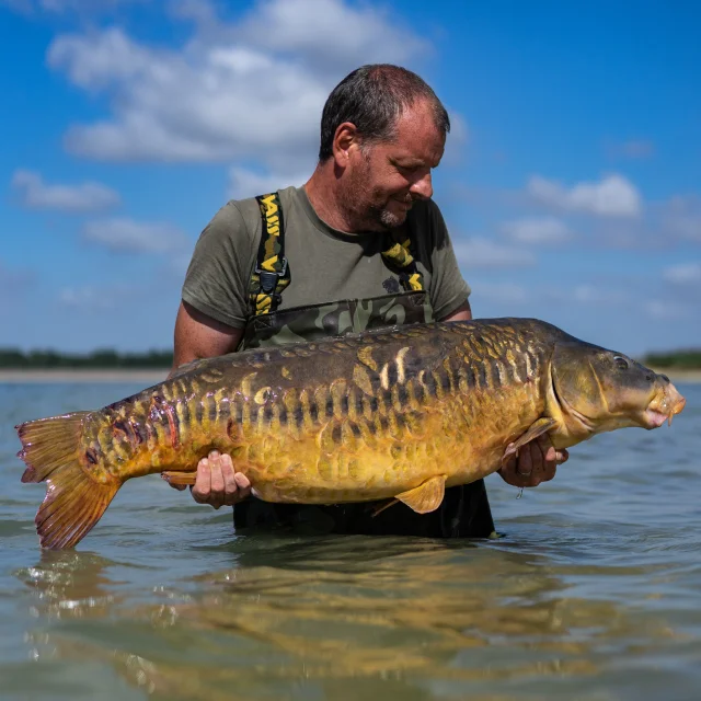 Carpe - Lac du Der