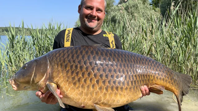 Carpe - Lac du Der