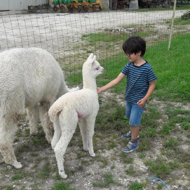 ferme_grand_der_enfant.jpg