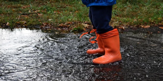 rain owl boots