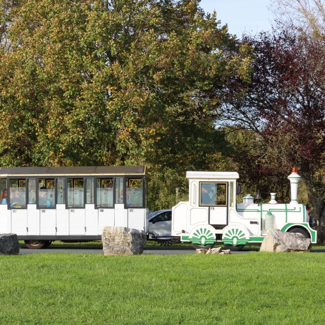 Le train du Der au Lac du Der