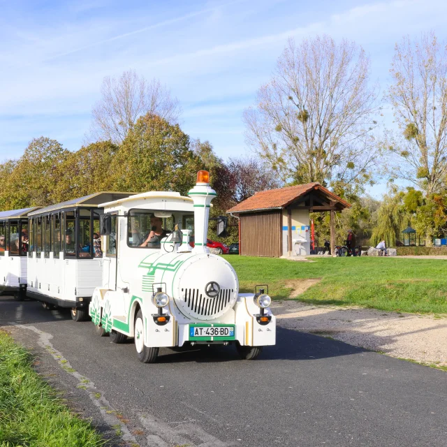 Trains aux oiseaux - Fête de la Grue - Lac du Der