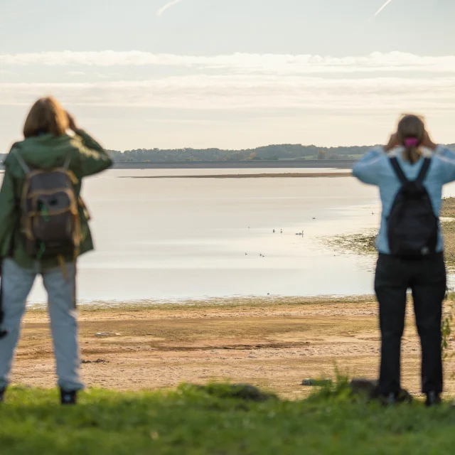 Observation Oiseaux Lac Du Der