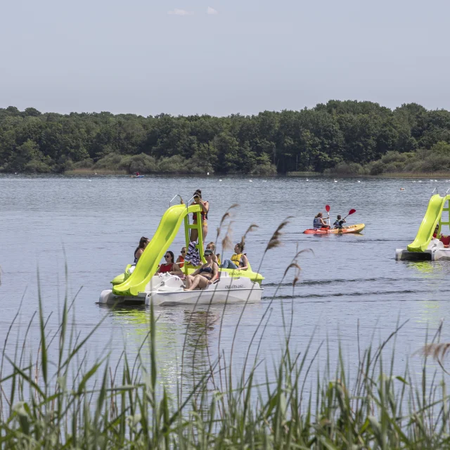 Pedalos et Canoes au Lac du Der