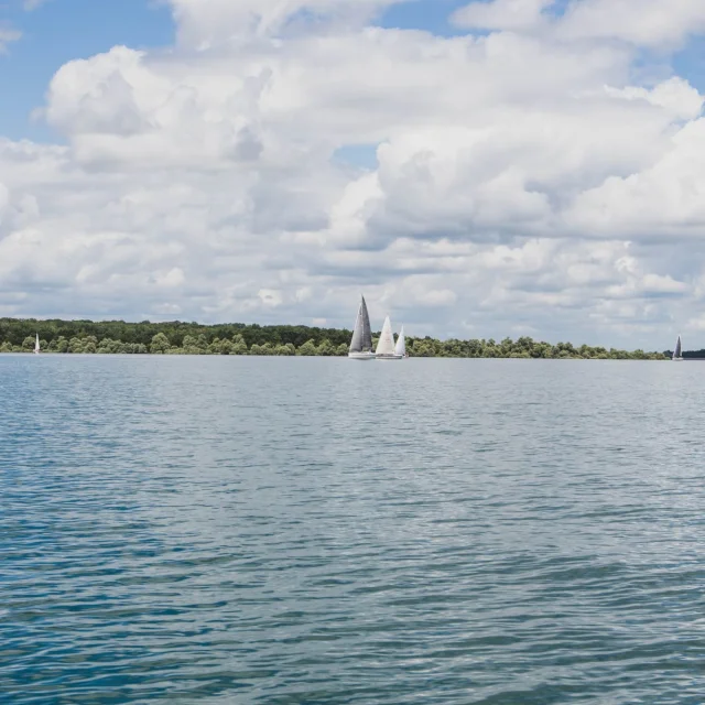 Voiliers naviguant sur le Lac du Der