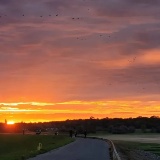 Coucher de soleil au Lac du Der